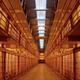 Illustration for article titled Tour the creeptacular nooks and crannies of Alcatraz